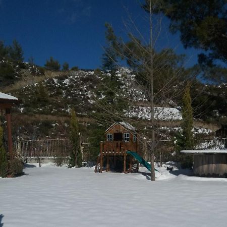 Agros Timber Log House Villa ภายนอก รูปภาพ