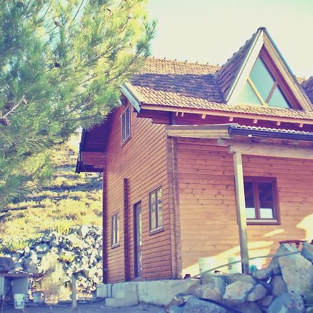 Agros Timber Log House Villa ภายนอก รูปภาพ