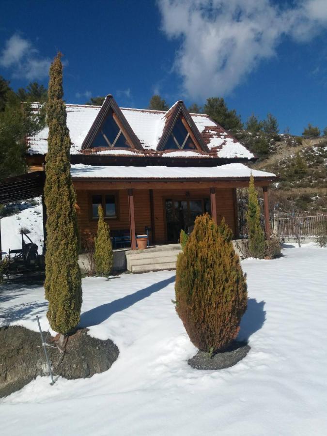 Agros Timber Log House Villa ภายนอก รูปภาพ