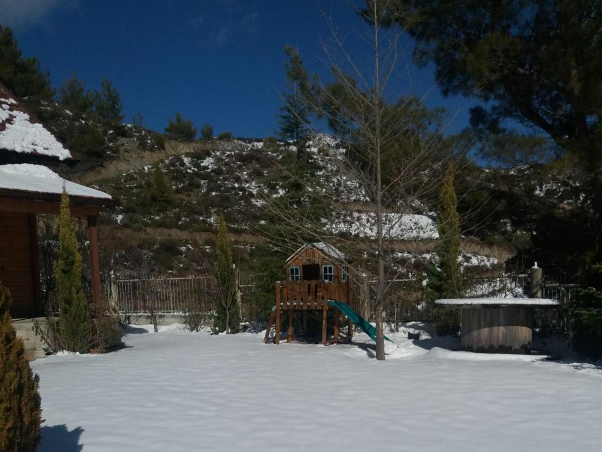 Agros Timber Log House Villa ภายนอก รูปภาพ