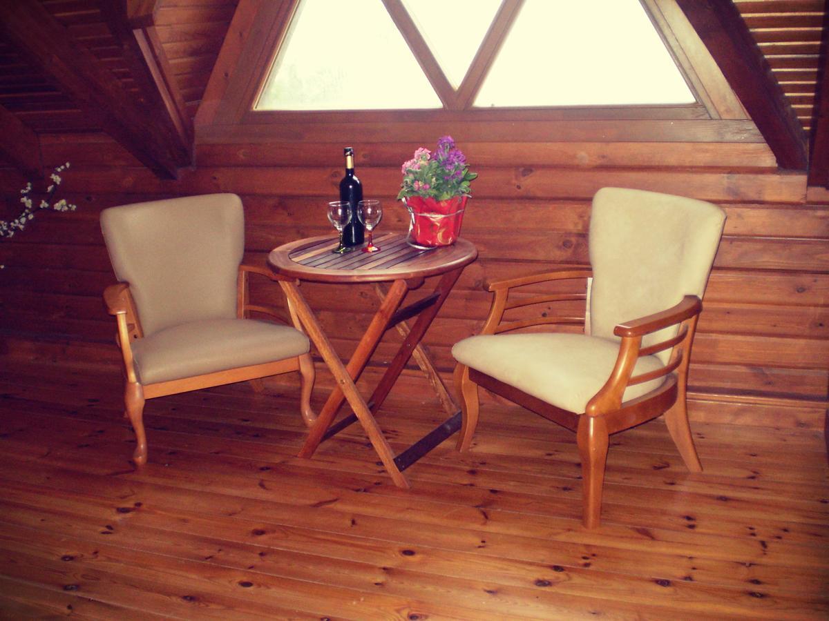 Agros Timber Log House Villa ภายนอก รูปภาพ