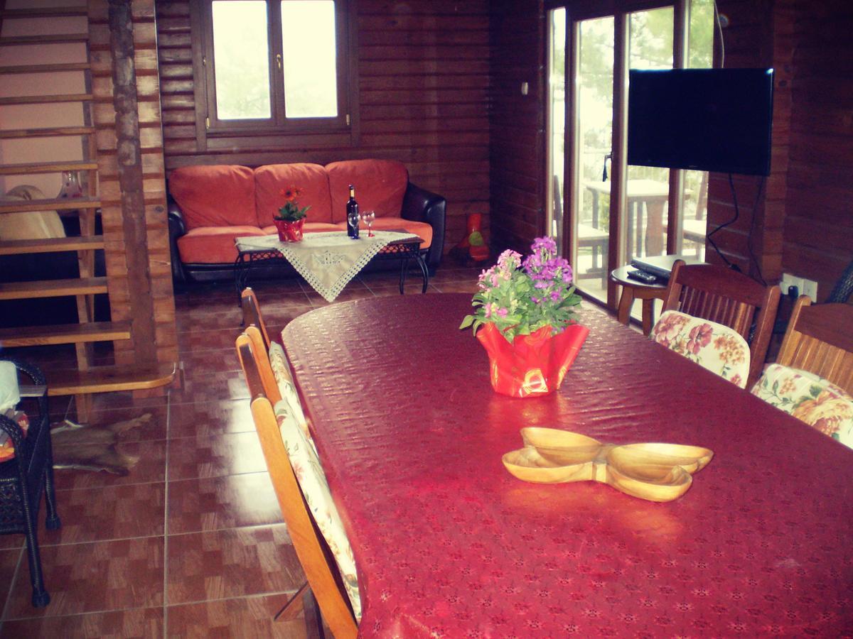 Agros Timber Log House Villa ภายนอก รูปภาพ