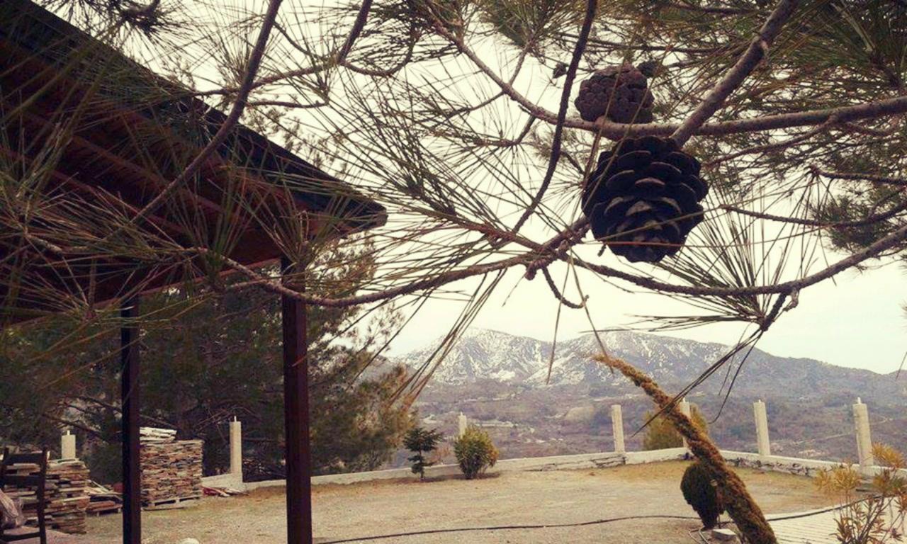Agros Timber Log House Villa ภายนอก รูปภาพ