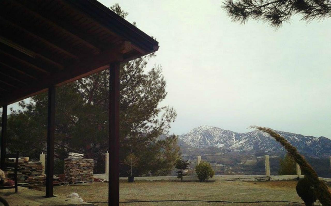 Agros Timber Log House Villa ภายนอก รูปภาพ
