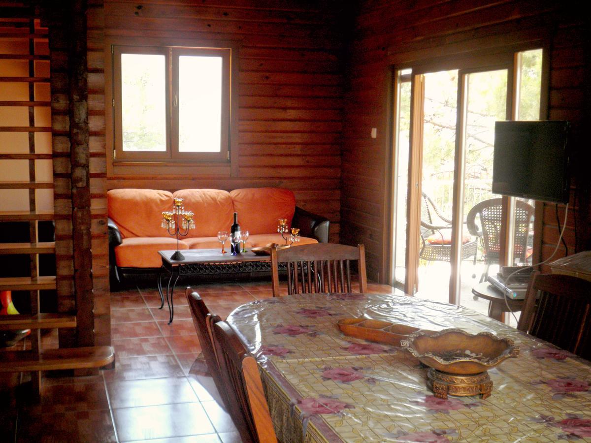 Agros Timber Log House Villa ภายนอก รูปภาพ