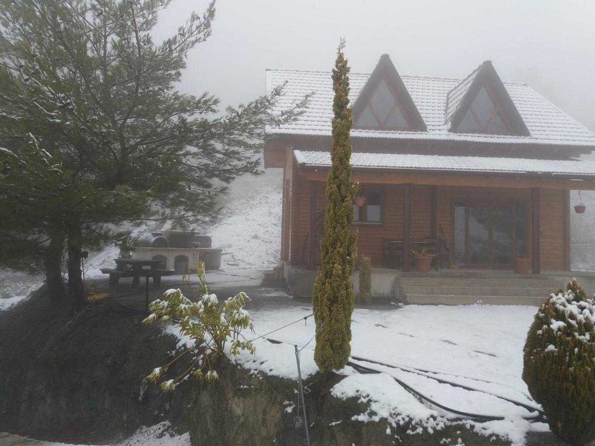 Agros Timber Log House Villa ภายนอก รูปภาพ